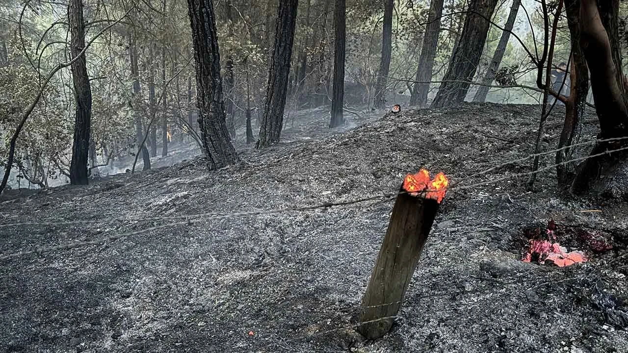 Kahramanmaraş, Denizli, Muğla ve İzmir'de orman yangınları! 2 ilde ekiplerin mücadelesi sürüyor - 3. Resim