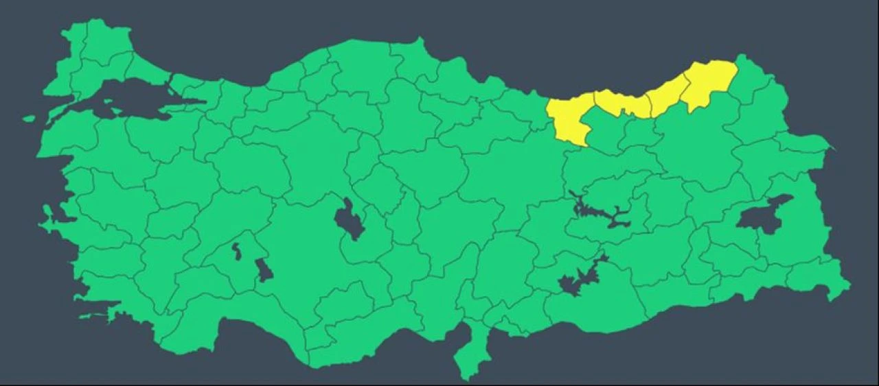 Meteoroloji'den sarı alarm: 4 ili kuvvetli sağanak vuracak! İşte 31 Temmuz il il hava durumu - 2. Resim