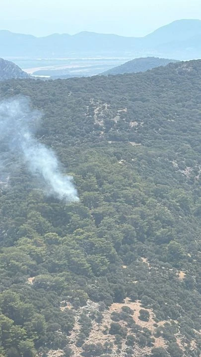Muğla'nın Ortaca ilçesinde çıkan orman yangınını söndürme çalışmaları devam ediyor - 1. Resim