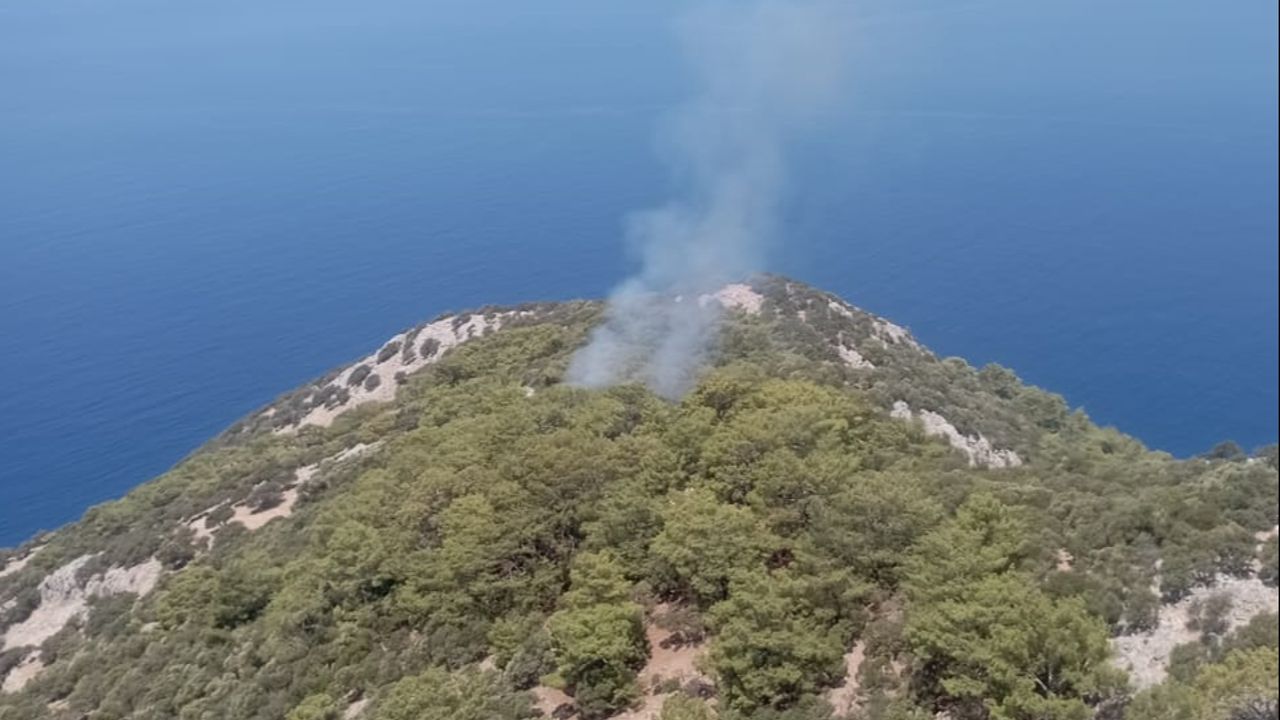 Muğla&#039;nın Ortaca ilçesinde çıkan orman yangınını söndürme çalışmaları devam ediyor