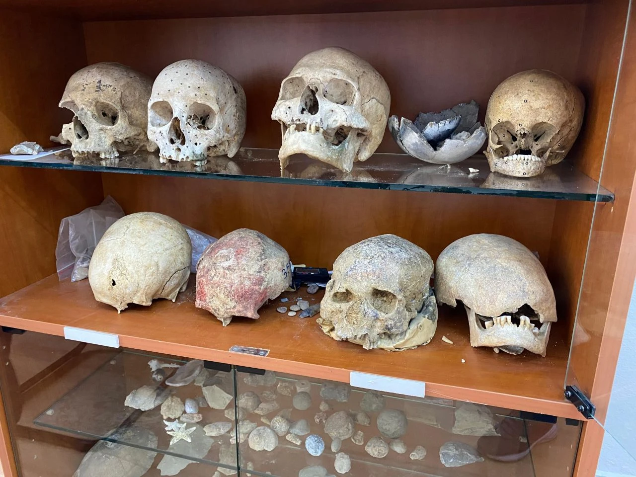 Türkiye'de ilk kez böyle bir kafatasına rastlandı! Üzerine kazılan yazıda bakın ne yazıyormuş - 2. Resim