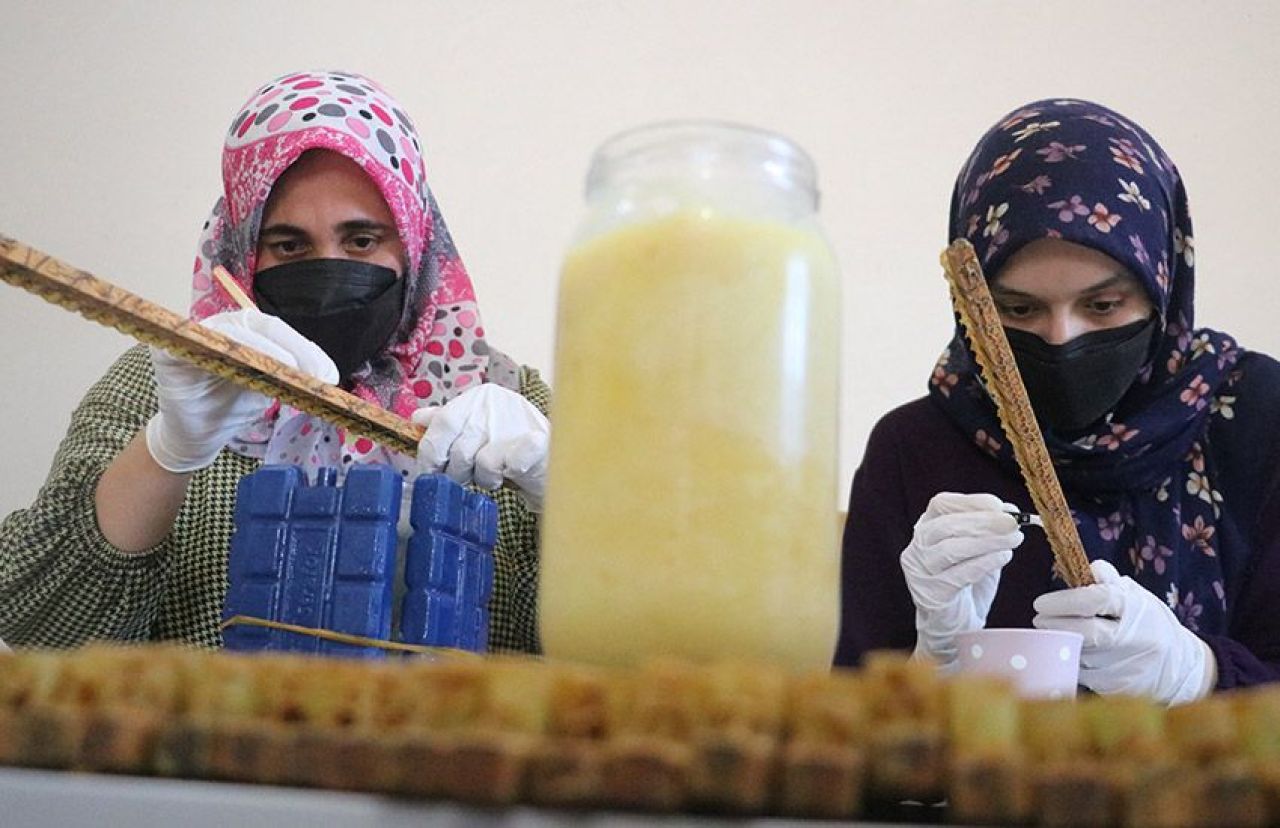 Altın fiyatı ile yarışıyor! Kısırlık, kalp ve kolesterole iyi geliyor: Arı sütü 100 gram fiyatıyla şaşırttı - 3. Resim