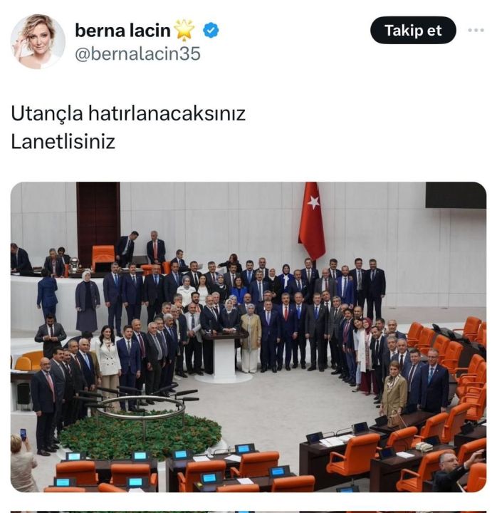 TBMM'yi hedef alan skandal paylaşım yapmıştı! Berna Laçin hakkında soruşturma - 3. Resim