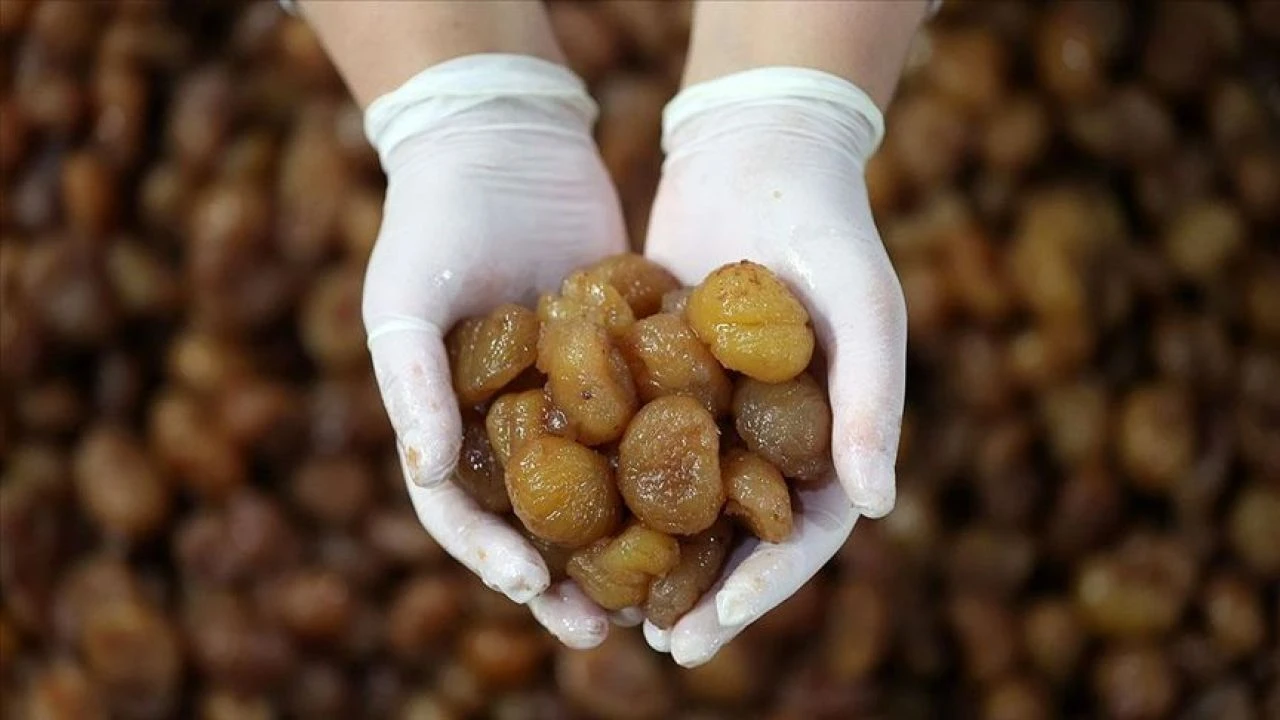 Bursa Kestane şekeri <a href=