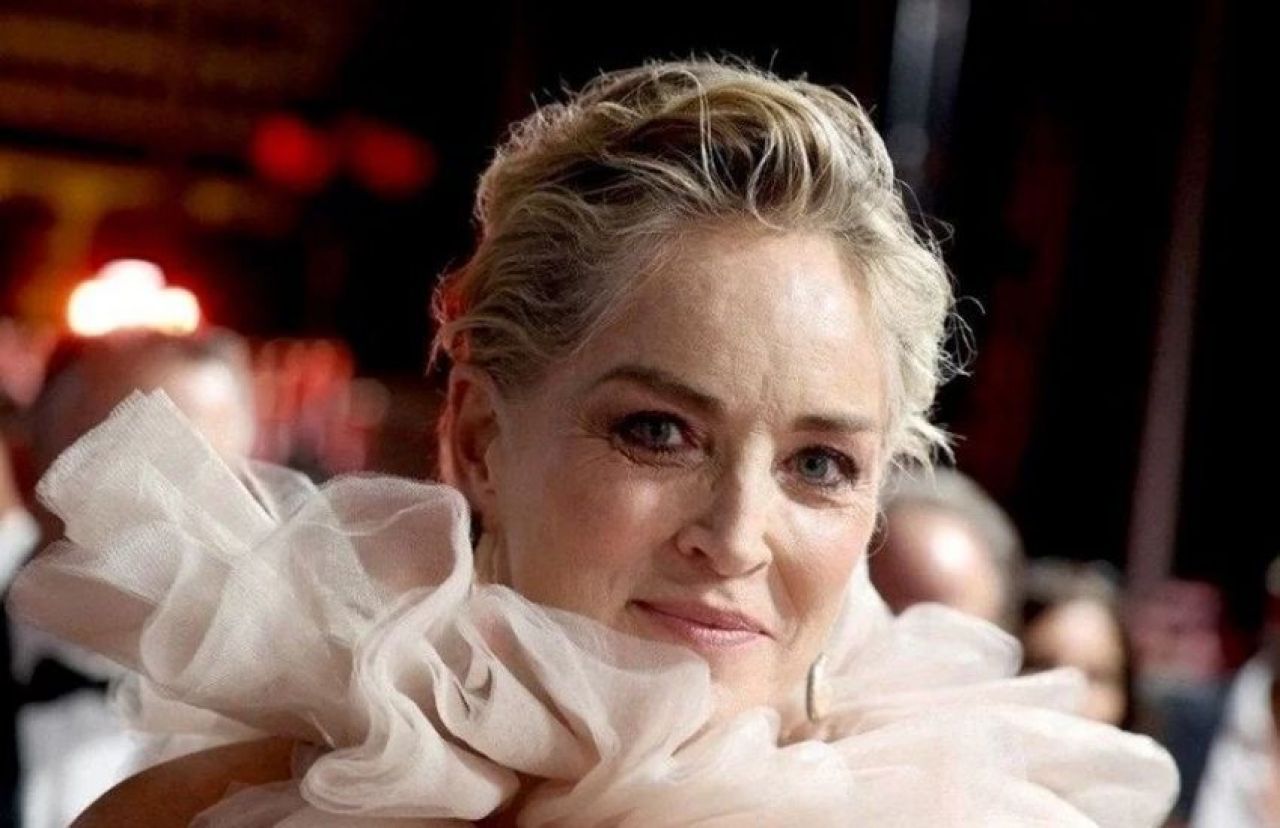 Kurtlar Vadisi oyuncusu Sharon Stone Bodrum'da kaza geçirdi! - 2. Resim