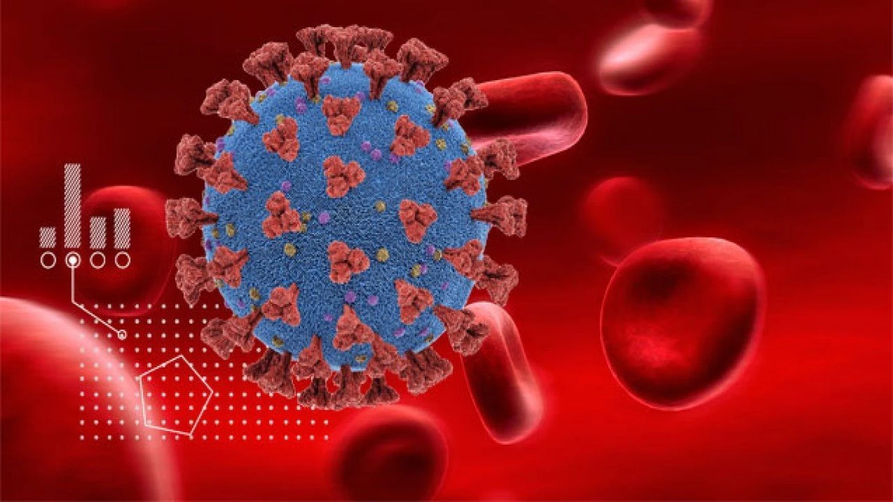 Zekanız kan grubunuzda gizli! A, B, AB ve 0'ın gizemleri