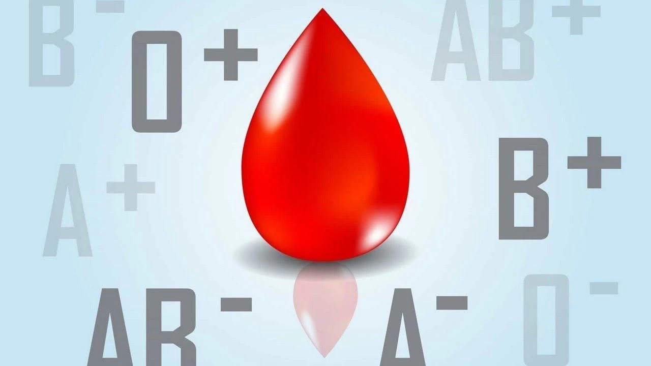 Zekanız kan grubunuzda gizli! A, B, AB ve 0'ın gizemleri