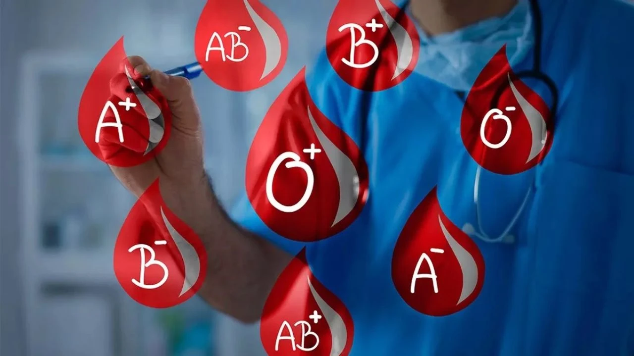 Zekanız kan grubunuzda gizli! A, B, AB ve 0'ın gizemleri