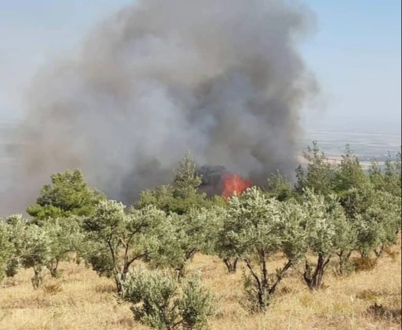 Hatay'ın Antakya ilçesinde çıkan orman yangınını söndürme çalışmaları devam ediyor - 1. Resim