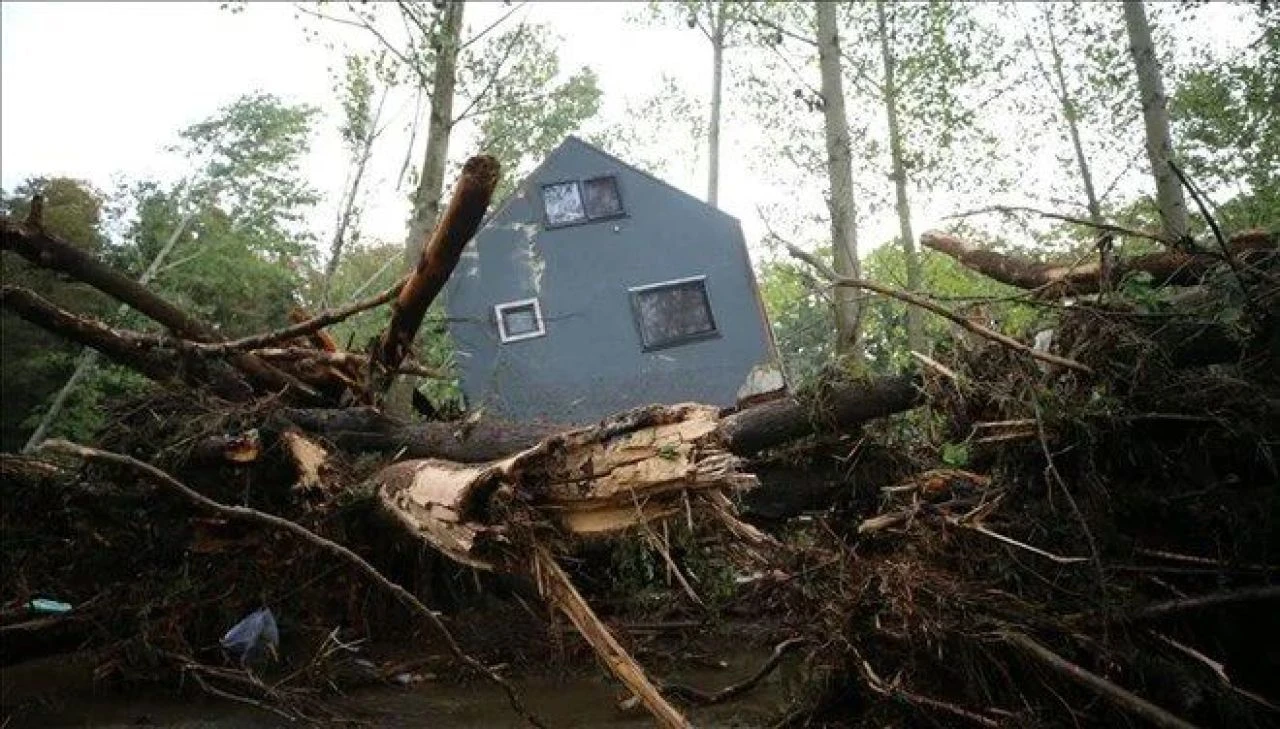 Kaçak bungalov davasında skandal savunma: Bu bir kader - 3. Resim