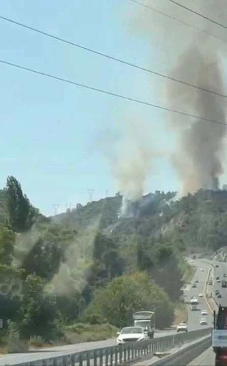 Muğla'da orman yangını! Havadan ve karadan müdahale ediliyor - 2. Resim
