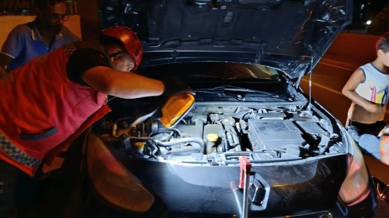 Sakarya'da otomobilde yılan paniği: Pür dikkat izlediler! - 1. Resim