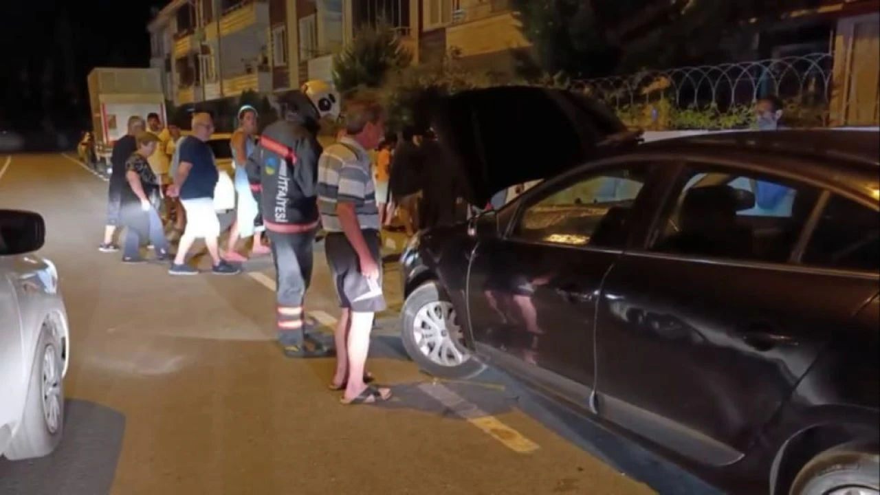 Sakarya'da otomobilde yılan paniği: Pür dikkat izlediler! - 2. Resim