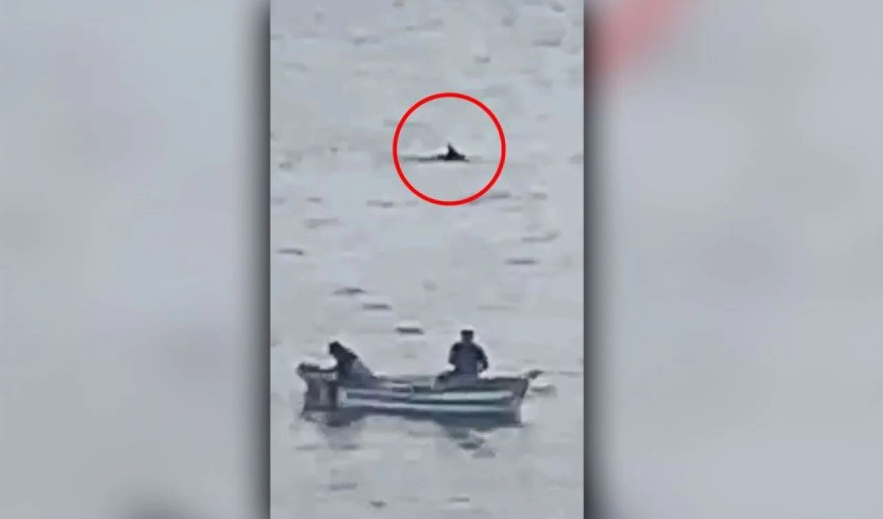 Teknelerinin motoru bozuldu köpek balığı çevrelemeye başladı! Korku dolu anlar - 1. Resim