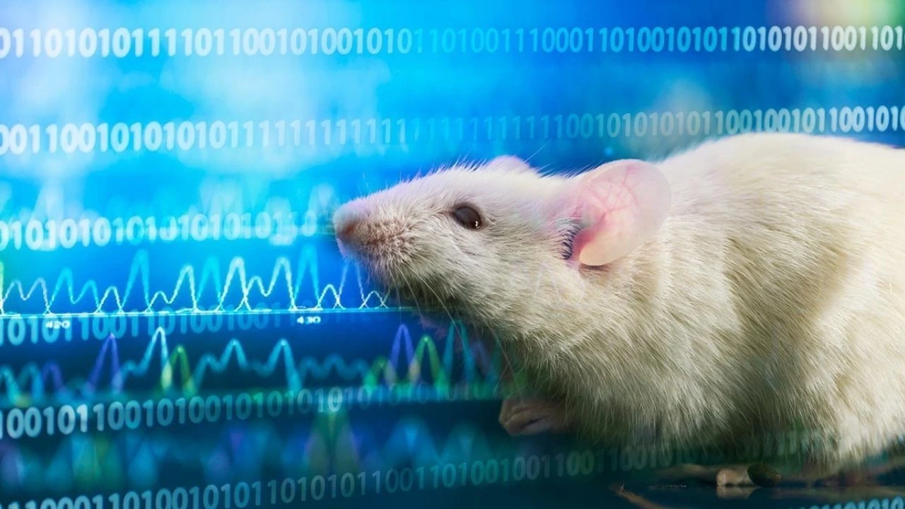 Türk araştırmacılardan dev atılım: Hayvan deneylerini bitirecek çip geliyor