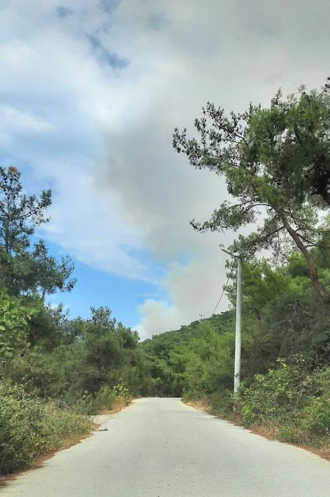 Yalova Armutlu'da orman yangını devam ediyor, ekiplerin müdahalesi sürüyor - 1. Resim