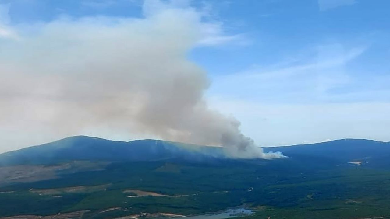 Yalova Armutlu&#039;da orman yangını devam ediyor, ekiplerin müdahalesi sürüyor