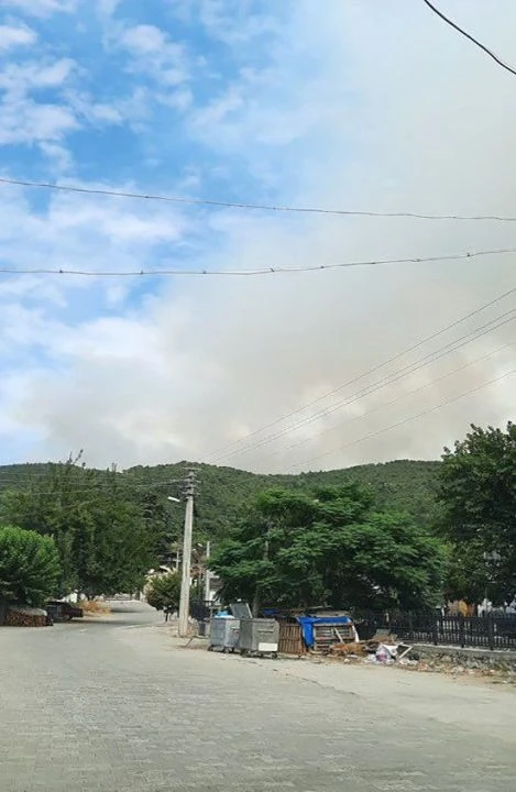 Yalova Armutlu'da orman yangını devam ediyor, ekiplerin müdahalesi sürüyor - 2. Resim