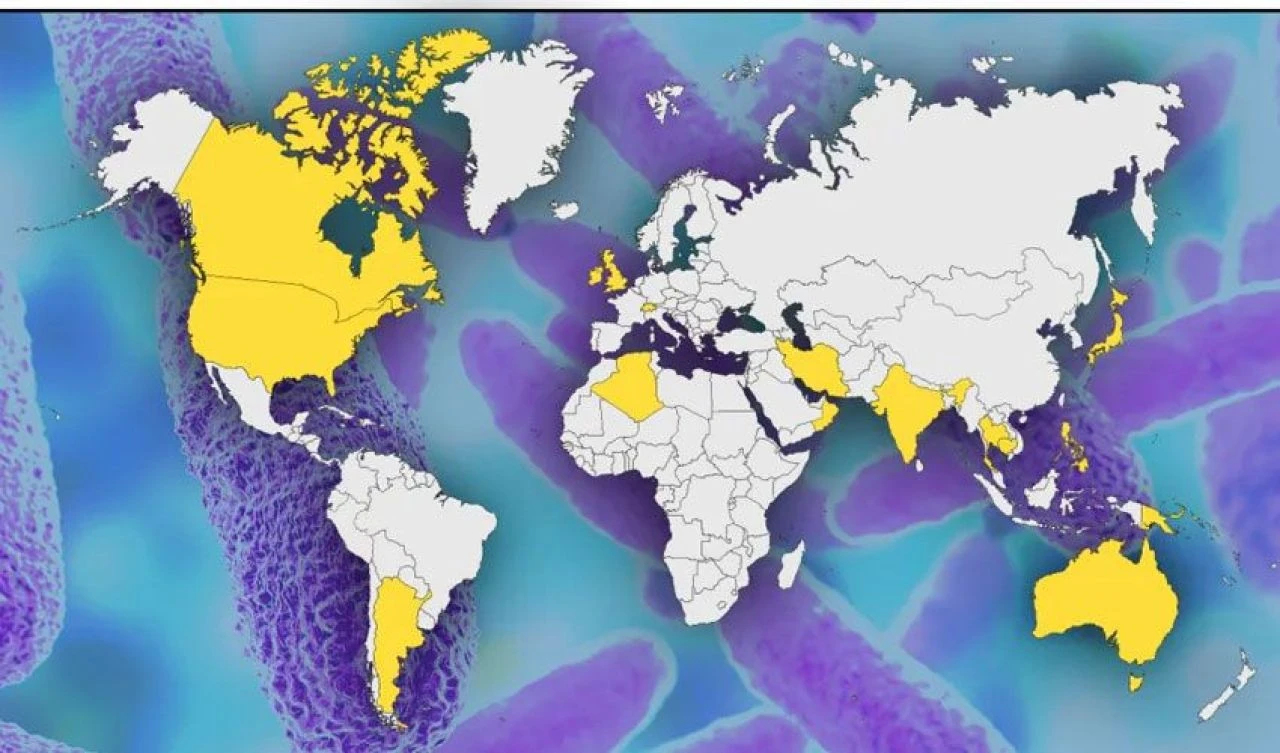 Dünyaya süper bakteri yayılıyor: 16 ülkede görüldü, DSÖ'den salgın uyarısı geldi - 1. Resim