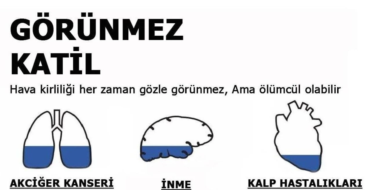 Görünmez katil! Her yıl milyonlarca insanın ölümüne neden oluyor - 1. Resim