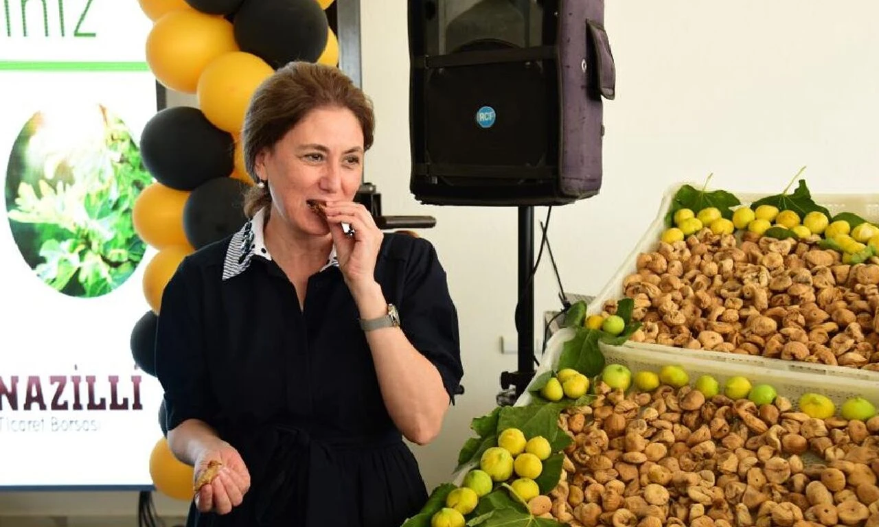 Hasat başladı, sezonun ilk satışı yapıldı! Kuru incirin fiyatını duyan şaştı kaldı