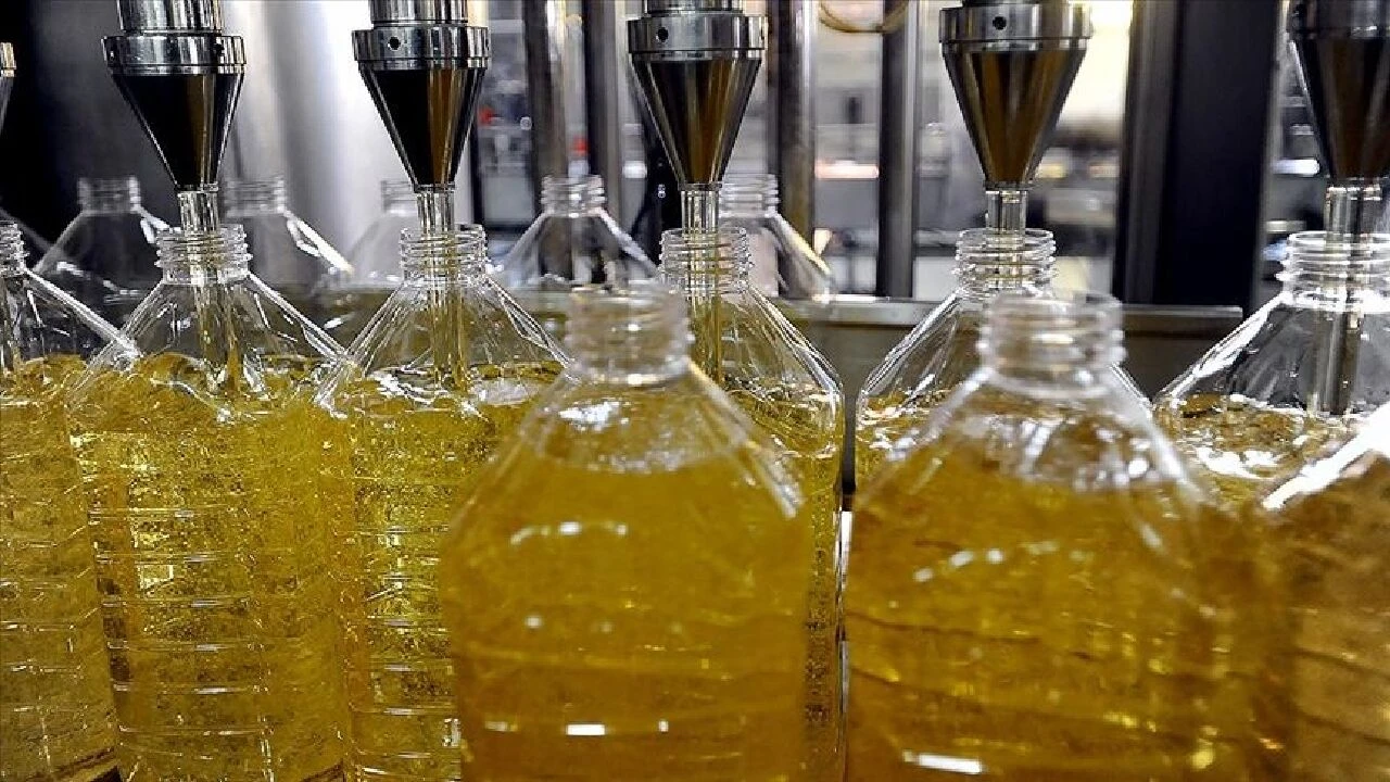 Tekirdağ'ı fırtına vurdu ayçiçek tarlaları harap oldu! Yağ fiyatlarında zam için hazırlıklı oldun - 4. Resim