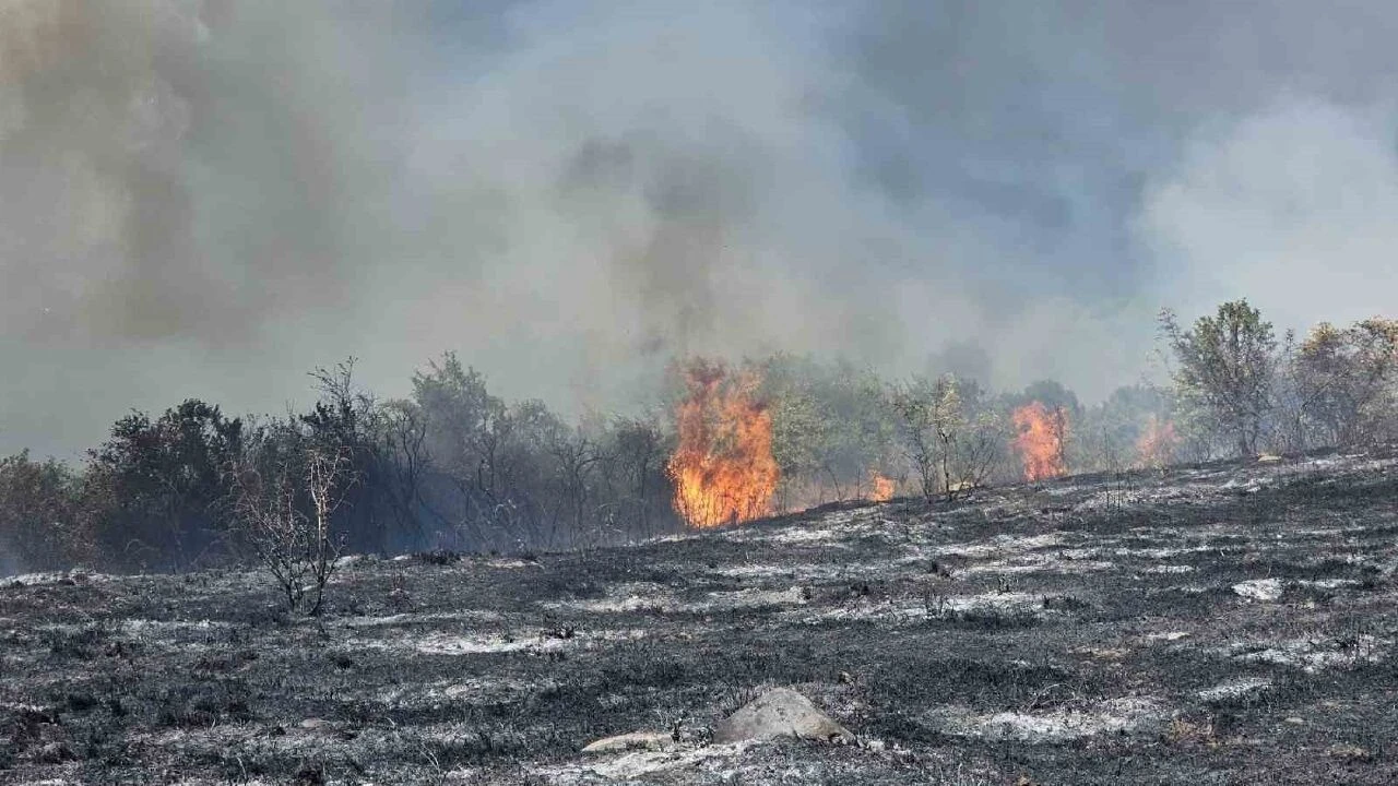 Bandırma'da yangın vatandaşlar tarafından görüntülenirken sebebinin yüksek gerilim hattı olduğu düşünülüyor