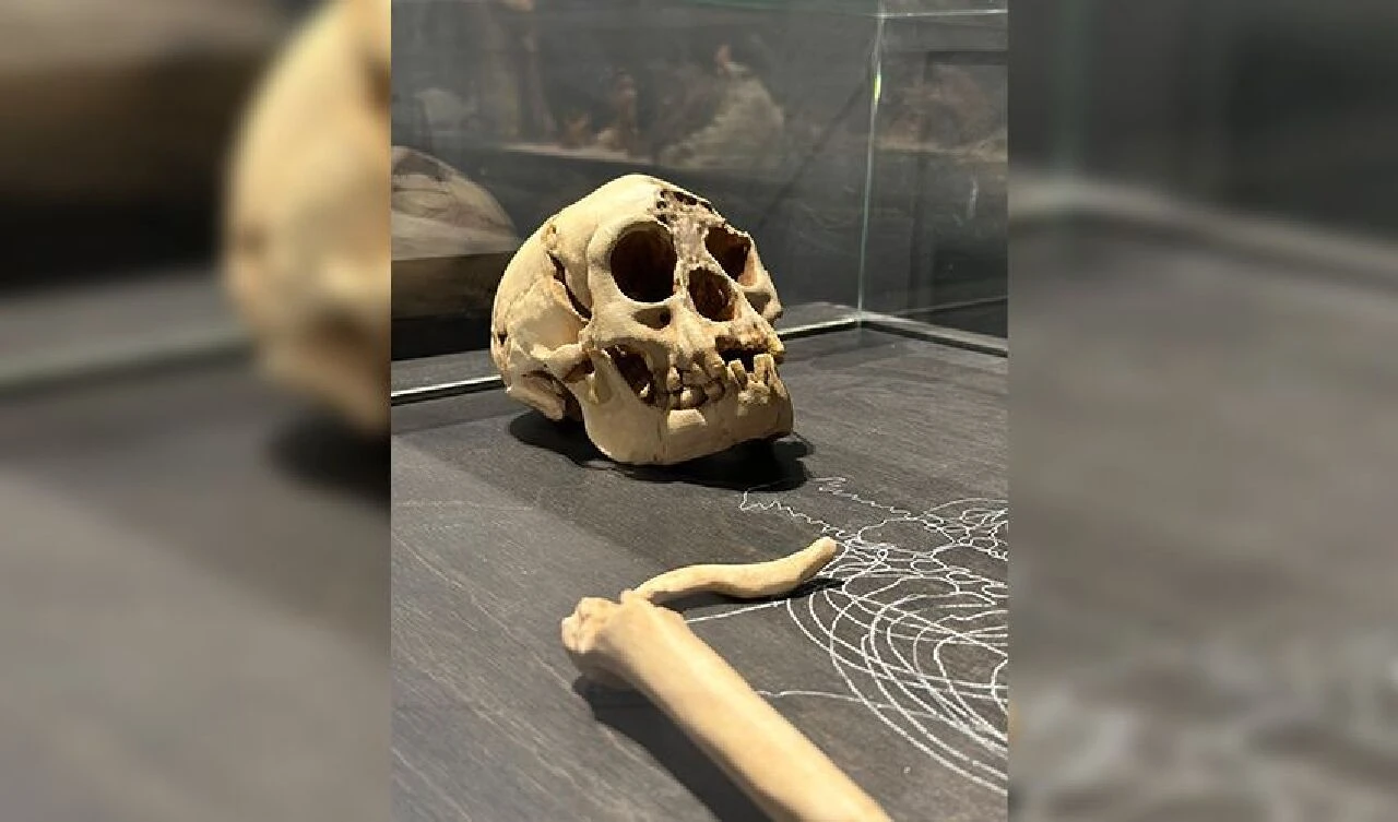 Endonezya'da yüzbinlerce yıllık 'hobbit' bulundu! Tahmin edilenden daha kısa olabilirler - 2. Resim