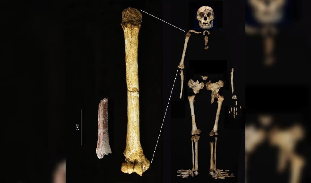 Endonezya'da yüzbinlerce yıllık 'hobbit' bulundu! Tahmin edilenden daha kısa olabilirler - 1. Resim