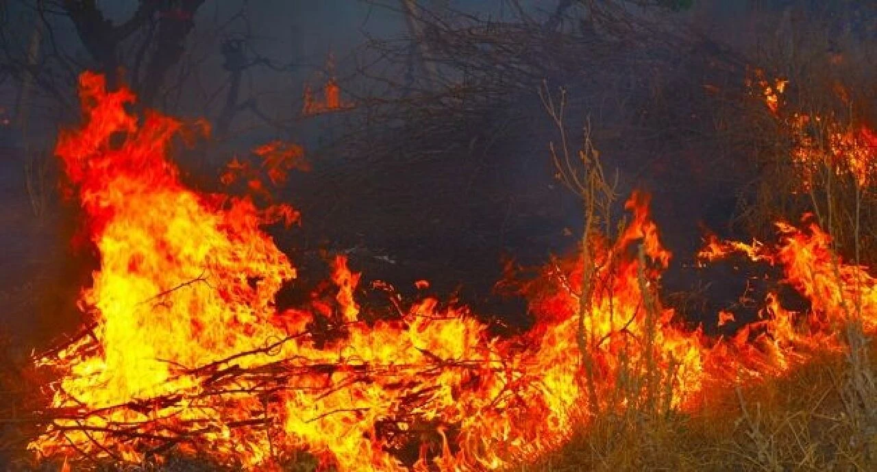 Roketli füzeli çatışmanın ardından orman yangınına neden olan aşiret kavgası! Orman küle döndü - 1. Resim