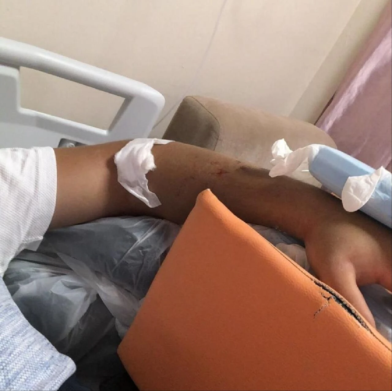 Su içerken dokunmaz dediler, hastanelik etti! Dünyanın en zehirli yılanlarından biri saldırdı, ölümden döndü