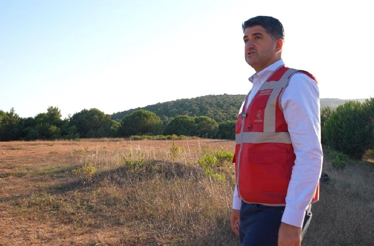 sokak hayvanları Ataşehir Belediyesi <a href=