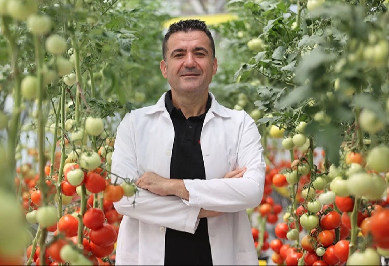 Balık atıklarının tarımdaki gücü: Elde edilen biyogübre ile domates verimi arttı - 4. Resim