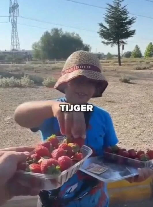 Çilek satan çocuğa 50 TL yerine 50 euro verdi! Sosyal medyada gündem olan video yürekleri ısıttı - 1. Resim