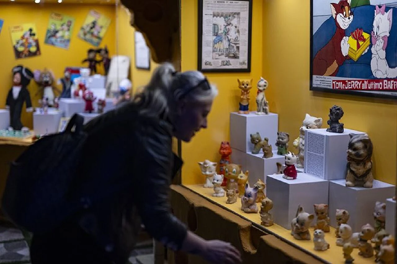 Dünya Kediler Günü geçti ama Kedi Müzesi'ni İstanbul'da ziyaret etme şansınız geçmedi