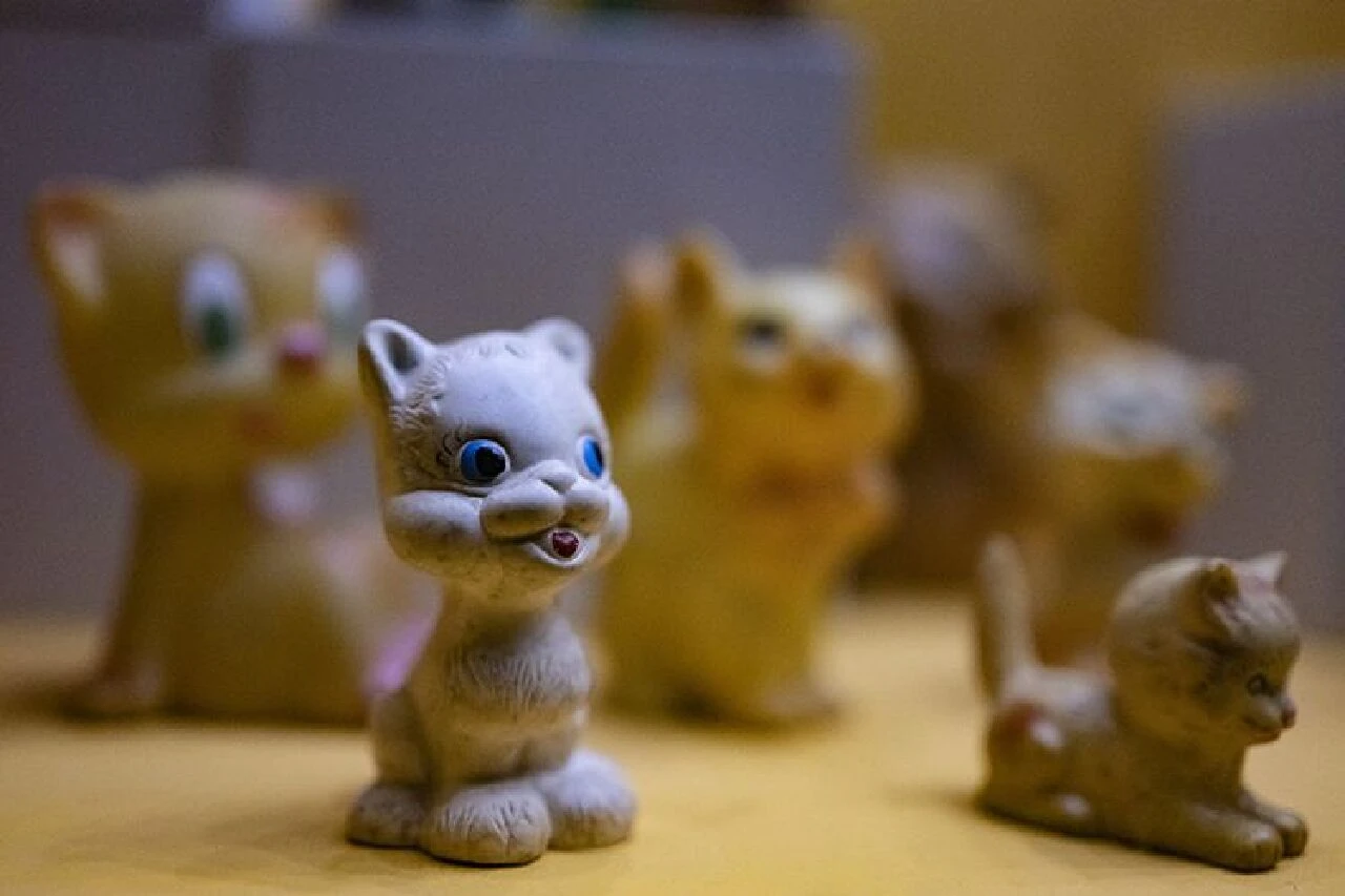 Dünya Kediler Günü geçti ama Kedi Müzesi'ni İstanbul'da ziyaret etme şansınız geçmedi