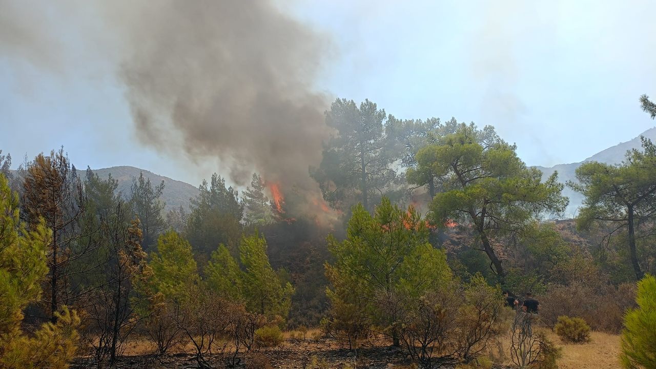 Muğla&#039;nın Marmaris ilçesinde ormanlık alanda çıkan yangına havadan ve karadan müdahale ediliyor