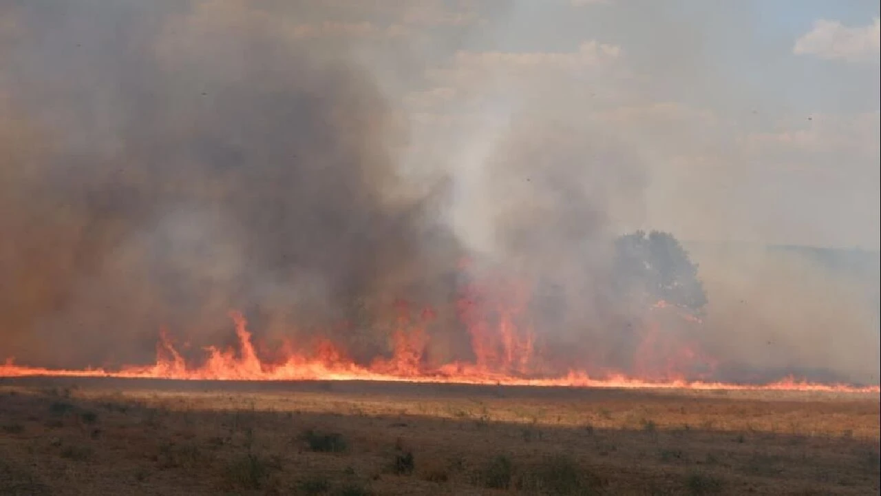 Edirne’de köylülerin başı yangınlarla dertte: Pulluklarla seferber oldular!