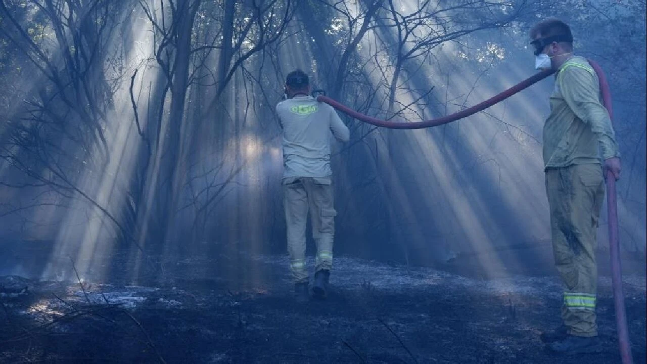 Edirne’de köylülerin başı yangınlarla dertte: Pulluklarla seferber oldular!