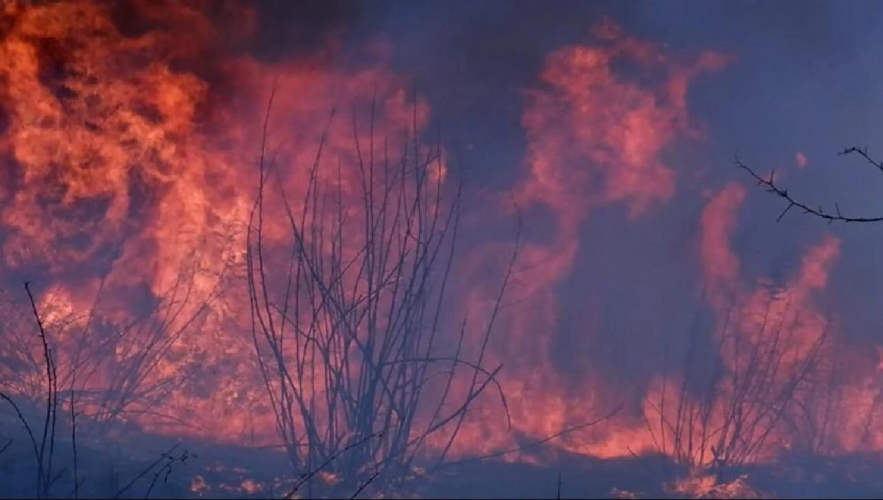 Edirne’de köylülerin başı yangınlarla dertte: Pulluklarla seferber oldular!