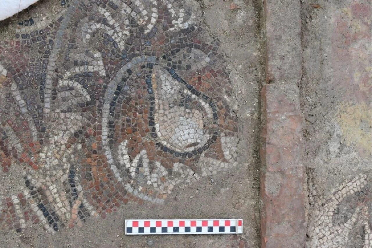 Heyecanlandıran keşif! Bakan Ersoy 'bir ilk' diyerek duyurdu - 3. Resim