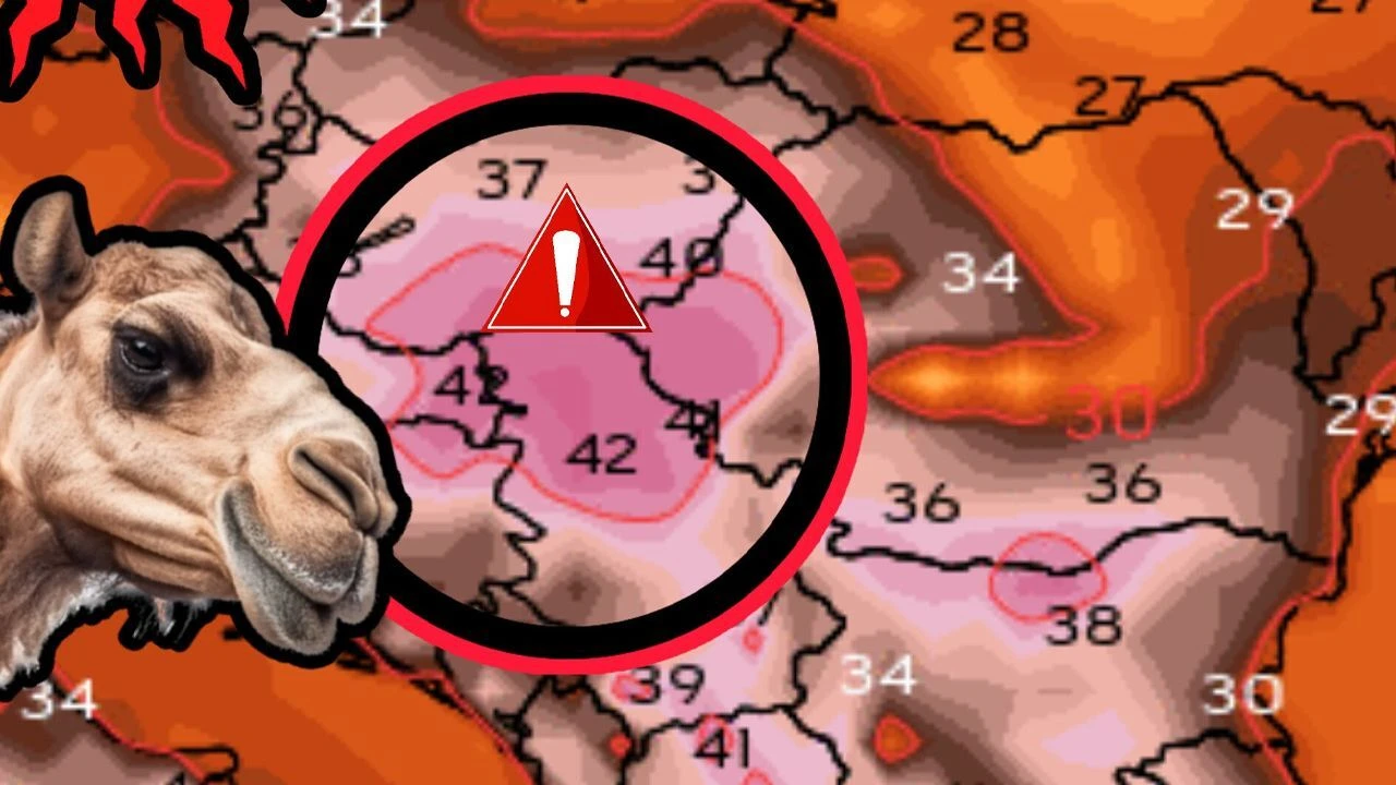 Kavurucu sıcaklara kırmızı alarm: İş yerleri tatil edildi, sokaklarda ücretsiz soğuk su dağılıyor - 1. Resim