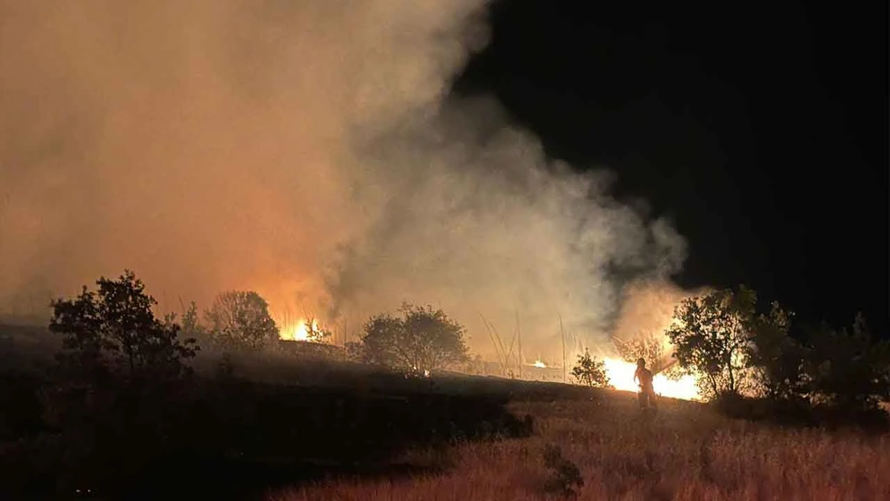 Manisa'da korkutan yangın: 35 dönüm alan zarar gördü - 1. Resim