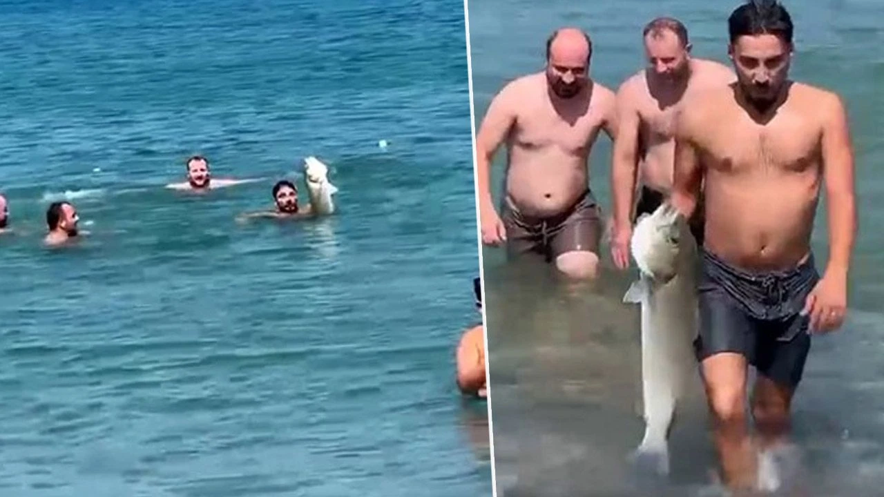 Recep İvedik filmi gerçek oldu! Eliyle 6 kiloluk balık yakaladı - 1. Resim