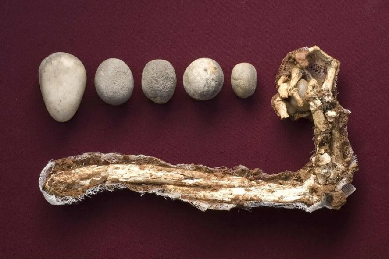 Sardes Antik Kenti'nde heyecanlandıran keşif! Thymbra Muharebesi'nden izler bulundu