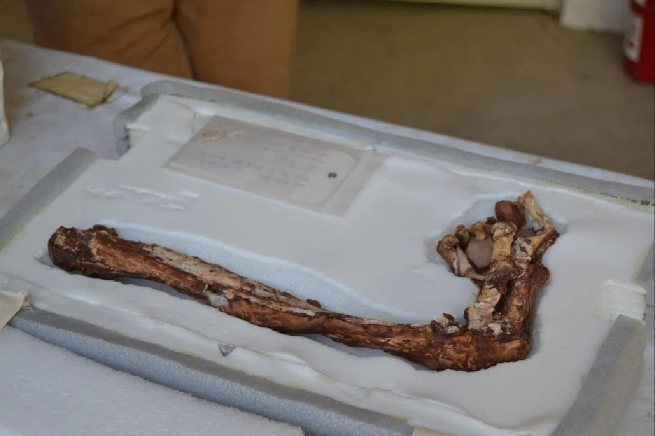 Sardes Antik Kenti'nde heyecanlandıran keşif! Thymbra Muharebesi'nden izler bulundu