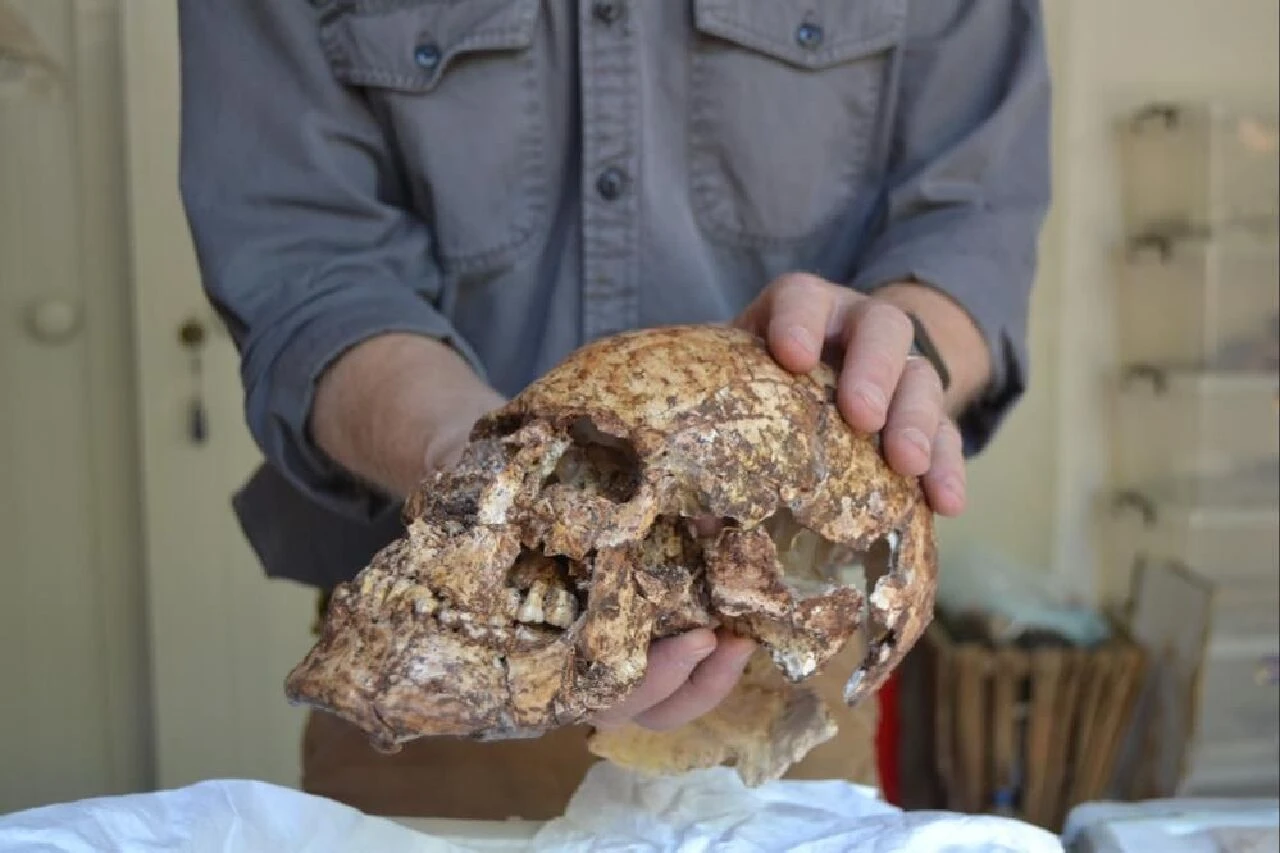 Sardes Antik Kenti'nde heyecanlandıran keşif! Thymbra Muharebesi'nden izler bulundu