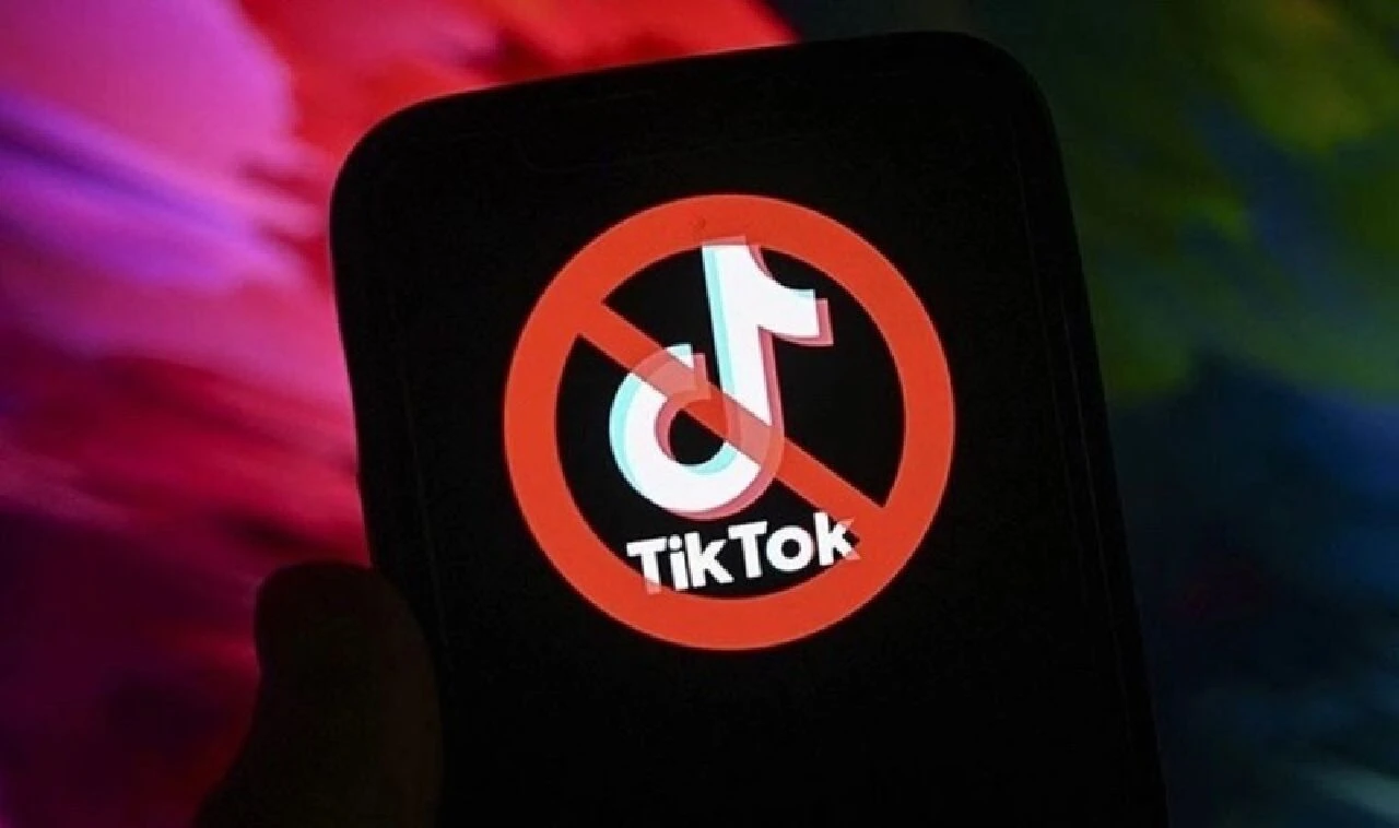 TikTok, WhatsApp'a rakip oldu: 32 kişilik grup oluşturulabilecek - 2. Resim
