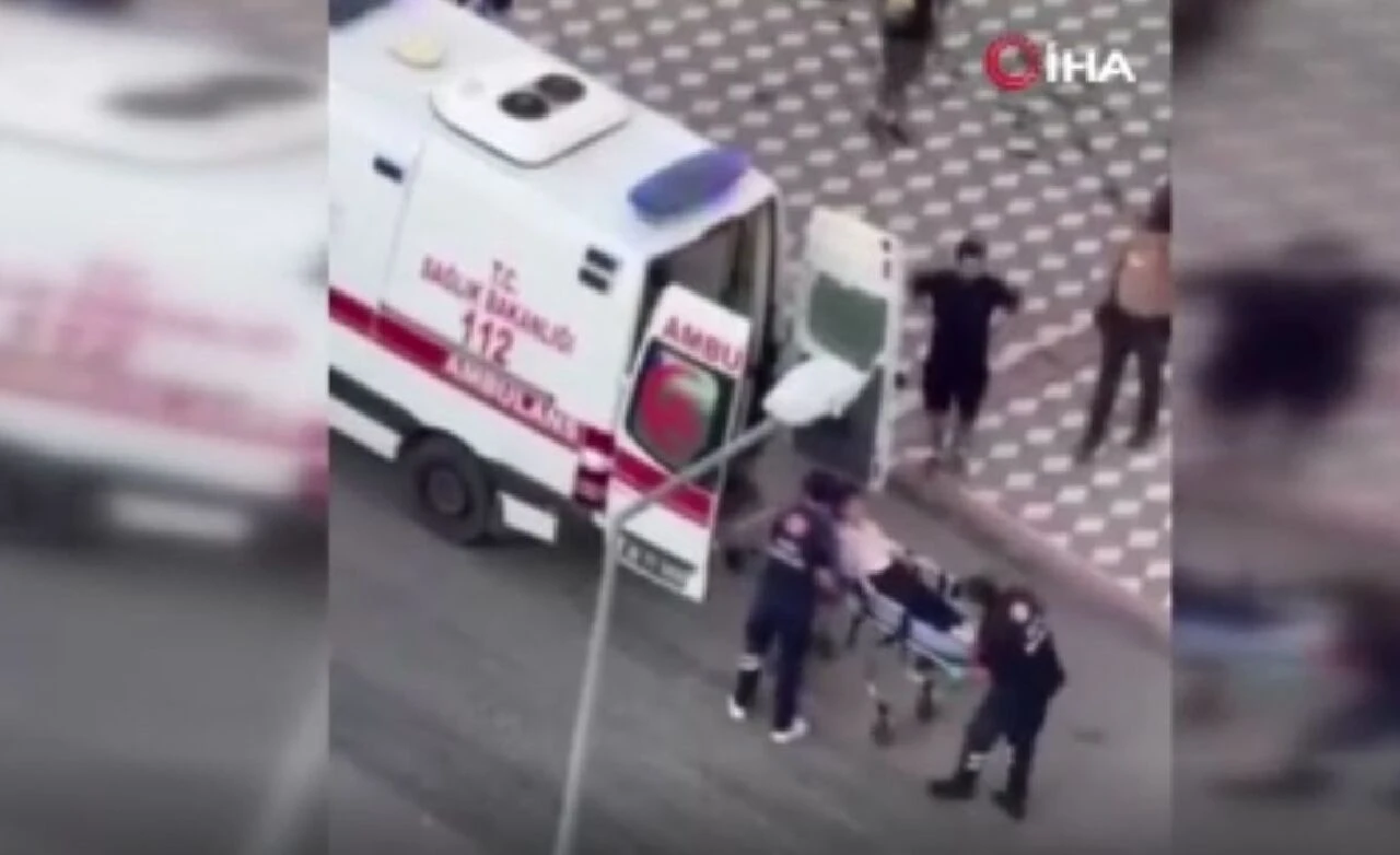 Yine başıboş köpek dehşeti! Parkta oynayan küçük kıza saldırdı - 2. Resim