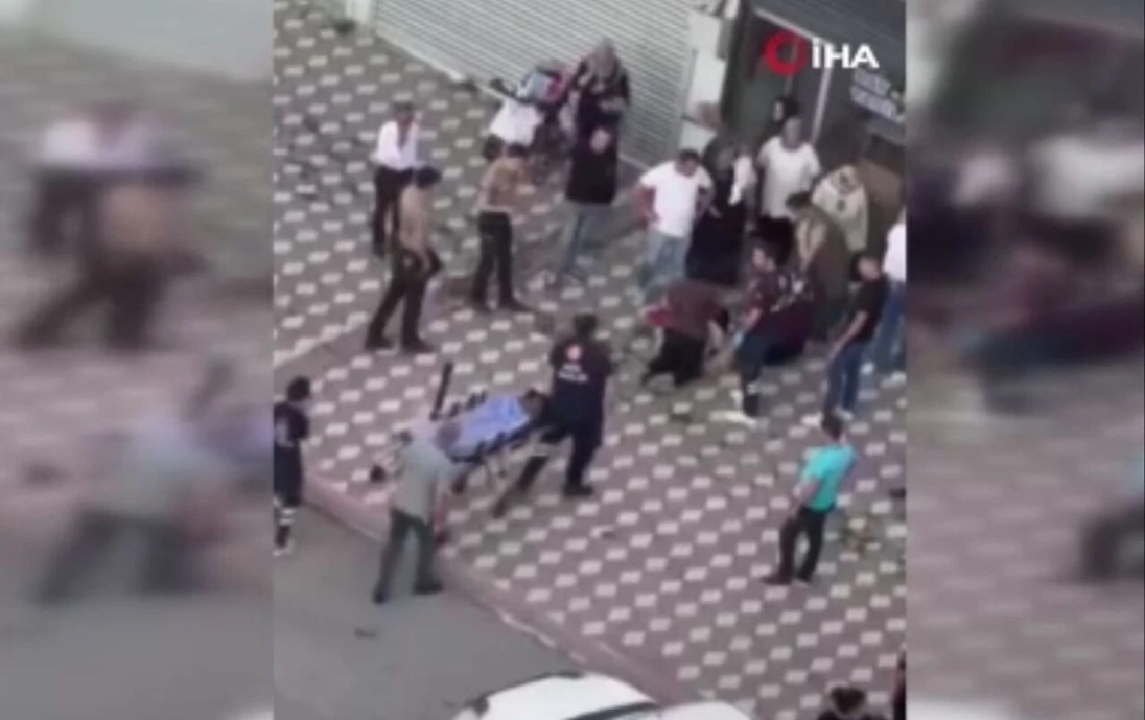 Yine başıboş köpek dehşeti! Parkta oynayan küçük kıza saldırdı - 1. Resim